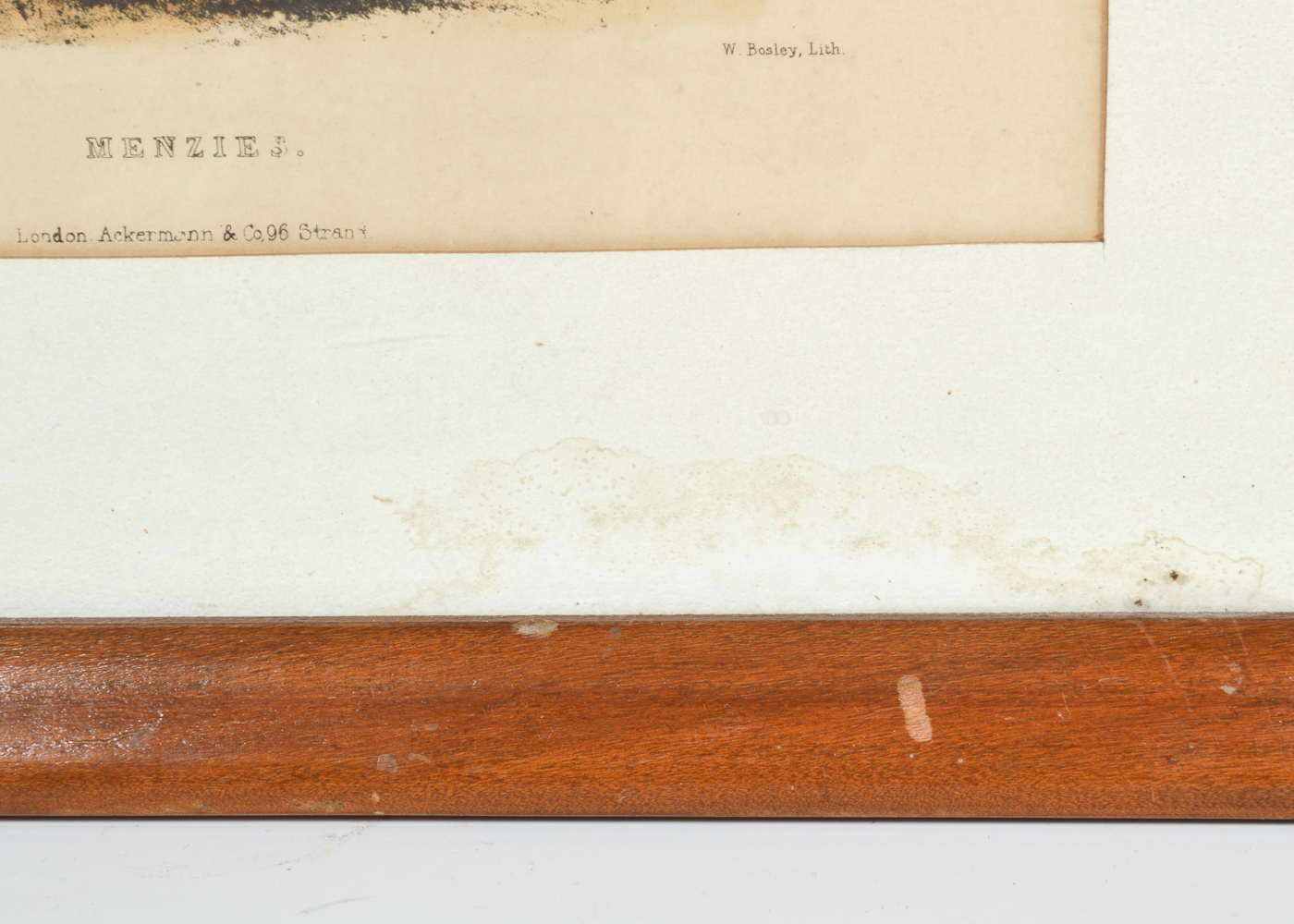 "The Clans of the Scottish Highlands" Framed Hand-Colored Lithograph Prints