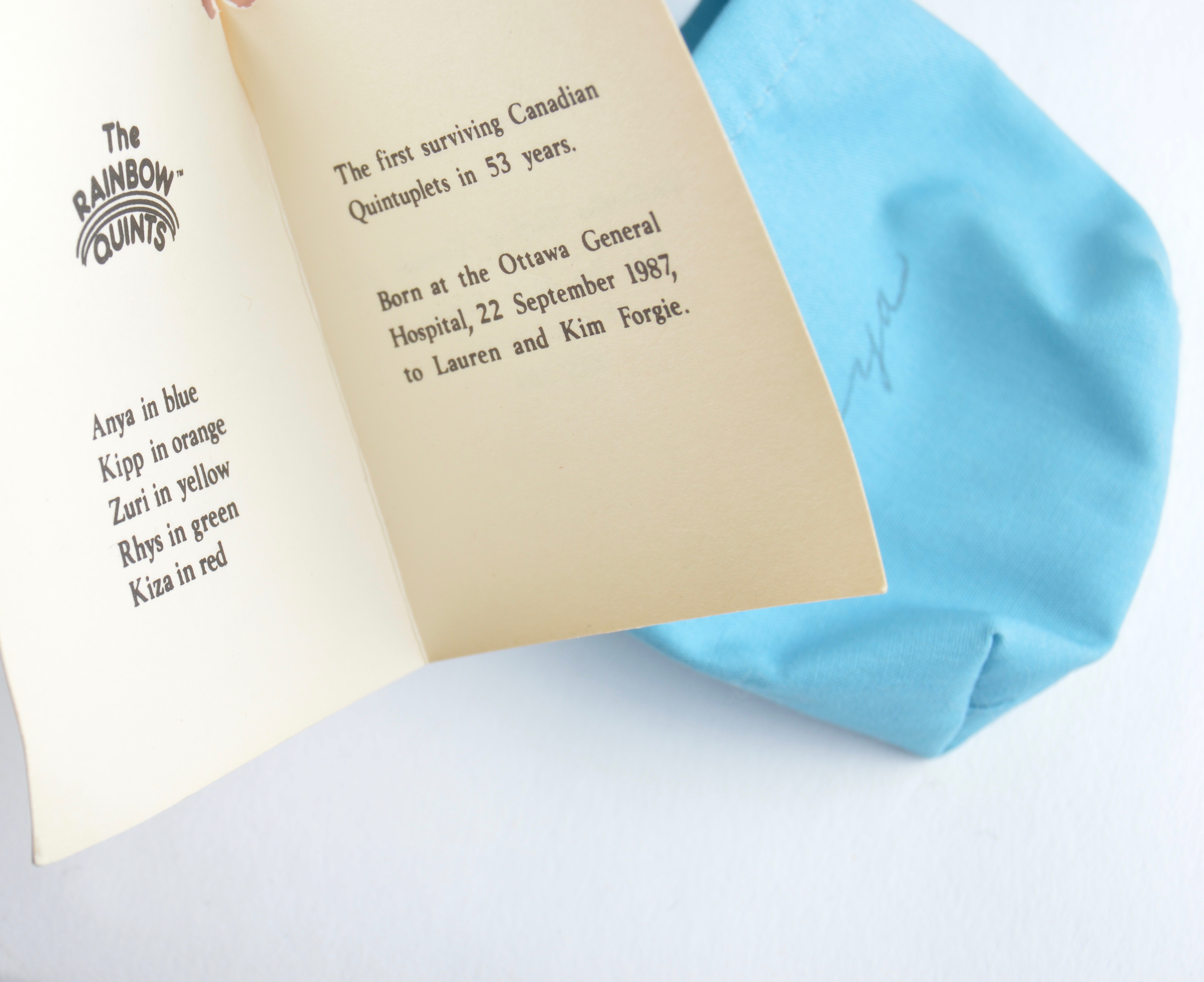 Set of Vintage Distinctive Dolls of Canada Rainbow Quints in Playpen