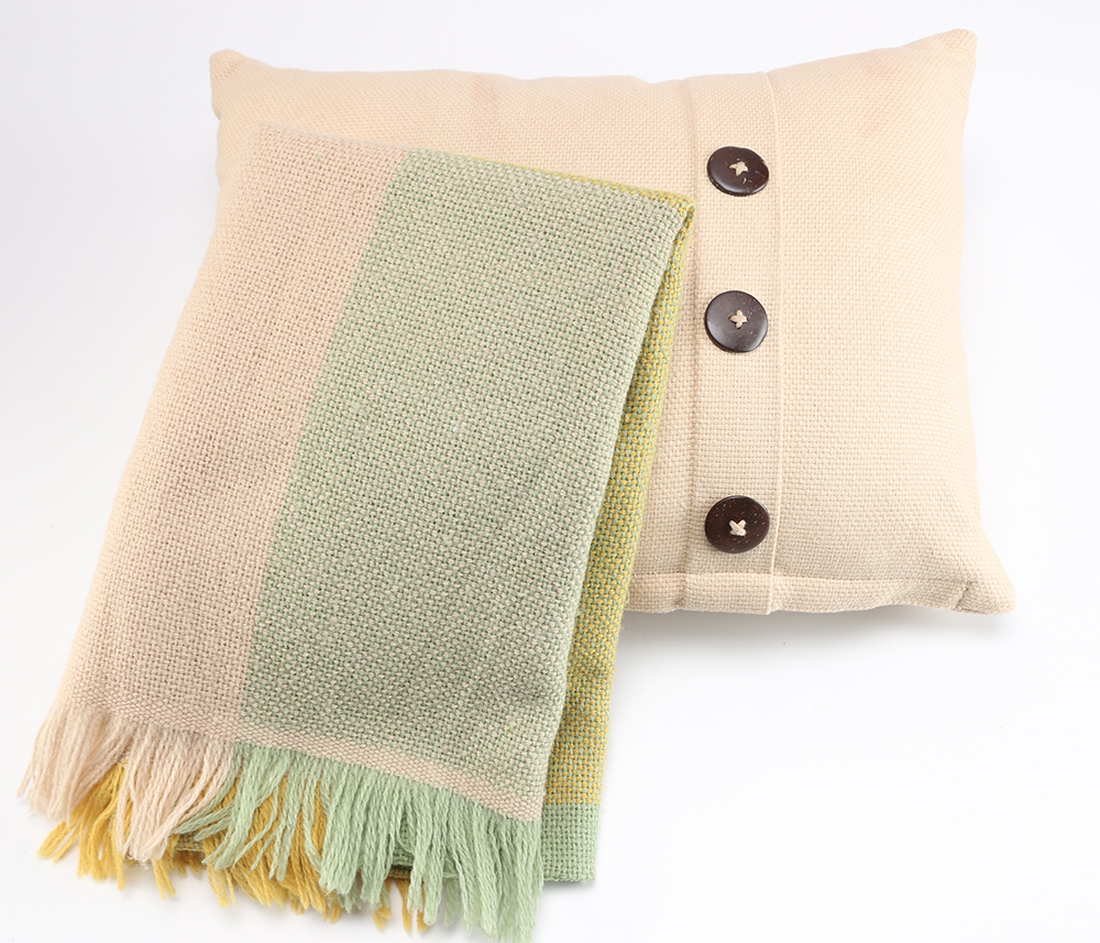 Pillows and Throw Blanket