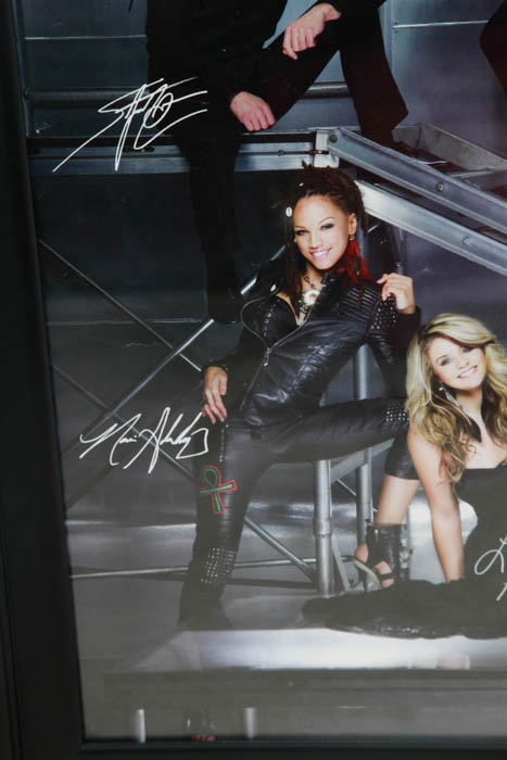 Limited Edition Autographed Collection from the 10th Anniversary American Idol Live! Tour