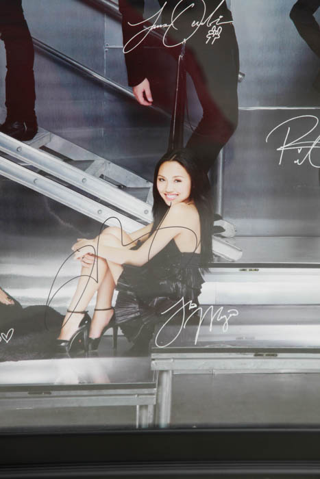 Limited Edition Autographed Collection from the 10th Anniversary American Idol Live! Tour