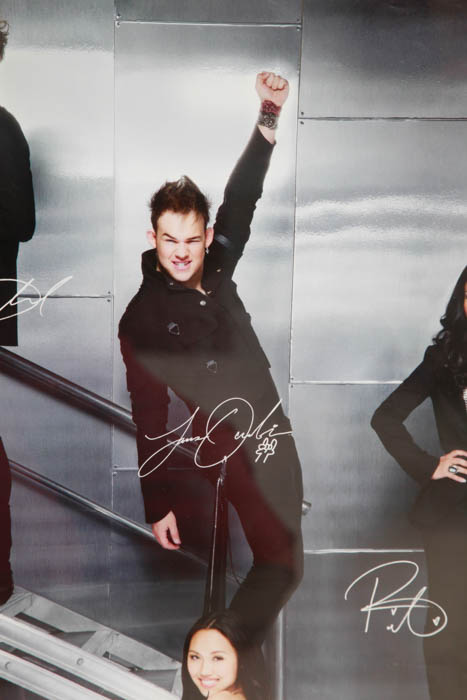 Limited Edition Autographed Collection from the 10th Anniversary American Idol Live! Tour