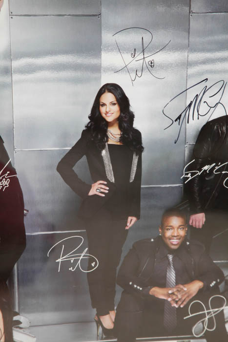 Limited Edition Autographed Collection from the 10th Anniversary American Idol Live! Tour