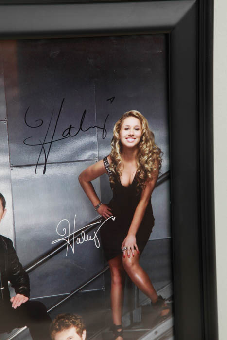 Limited Edition Autographed Collection from the 10th Anniversary American Idol Live! Tour