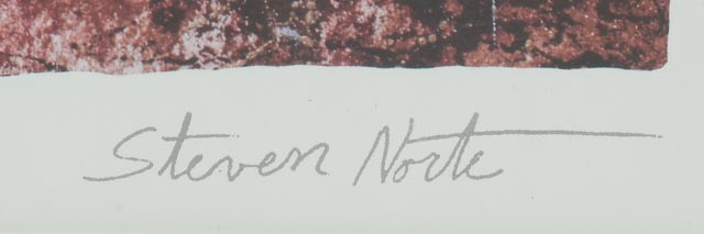 Steven Norte Textured Silkscreen