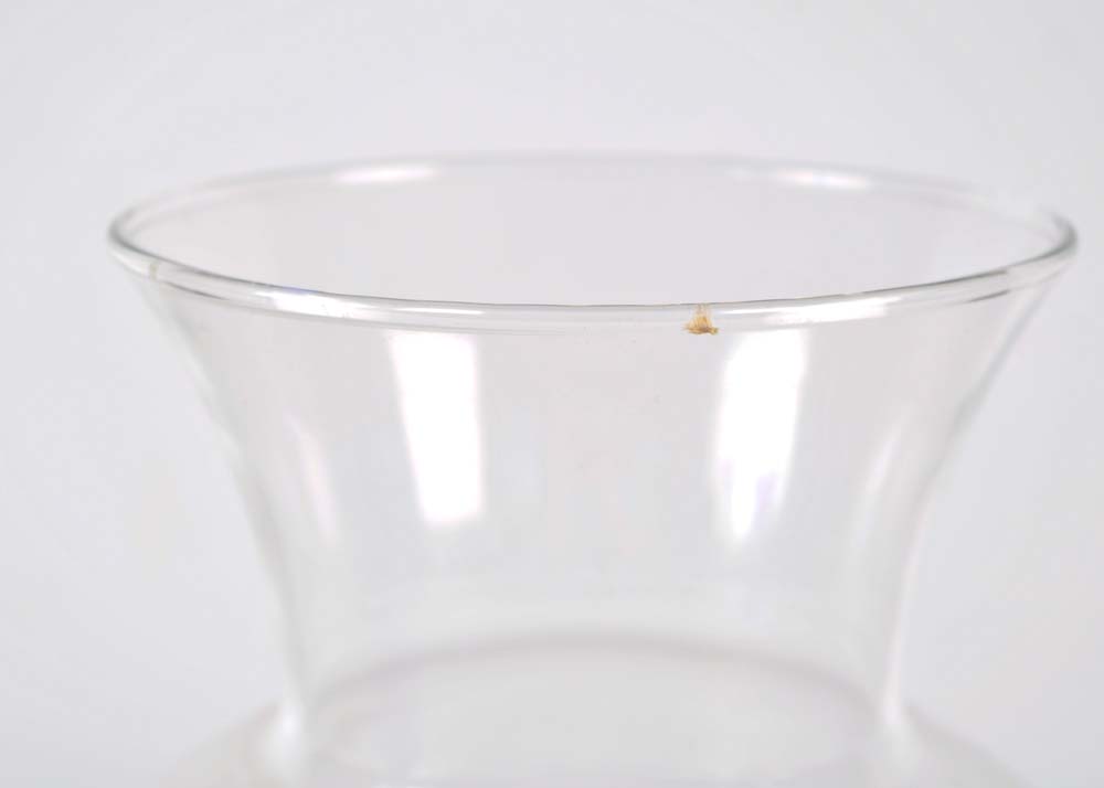 Walt Disney World Etched Vases