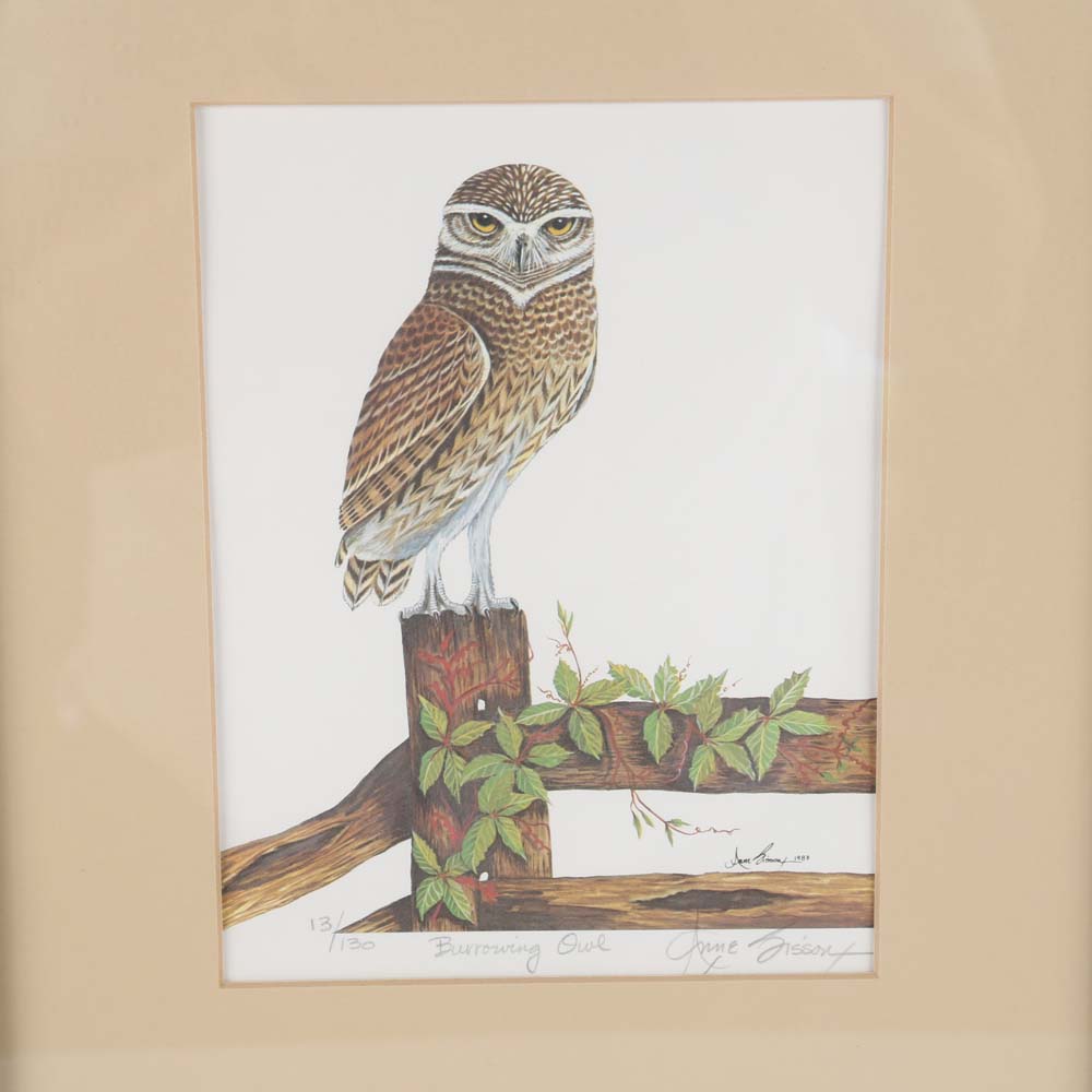 Anne Sisson "Burrowing Owl" Signed Offset Lithograph
