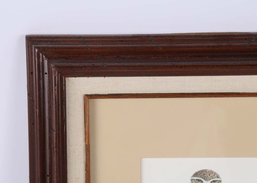 Anne Sisson "Burrowing Owl" Signed Offset Lithograph