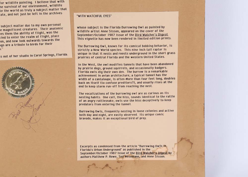 Anne Sisson "Burrowing Owl" Signed Offset Lithograph