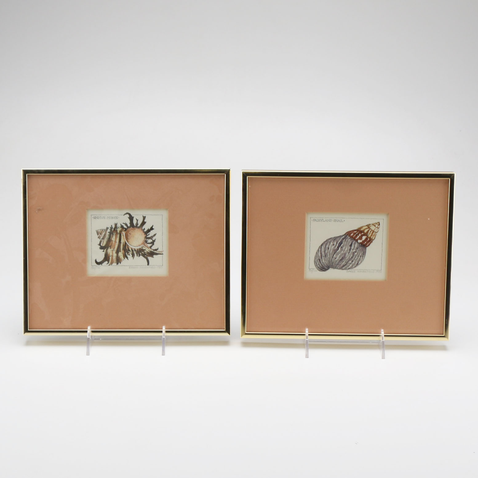 Baker Moorefield Signed Seashell Waterolors