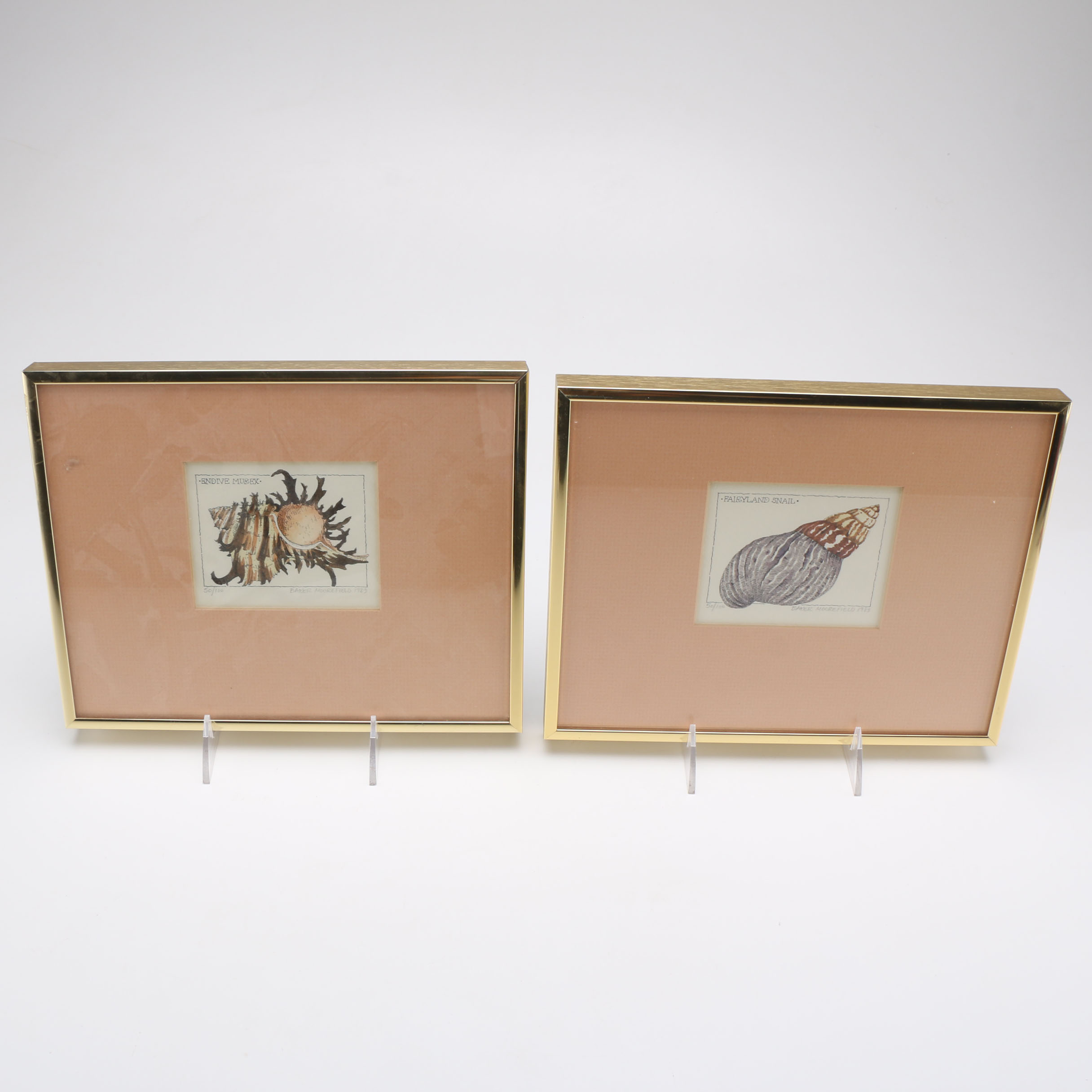 Baker Moorefield Signed Seashell Waterolors