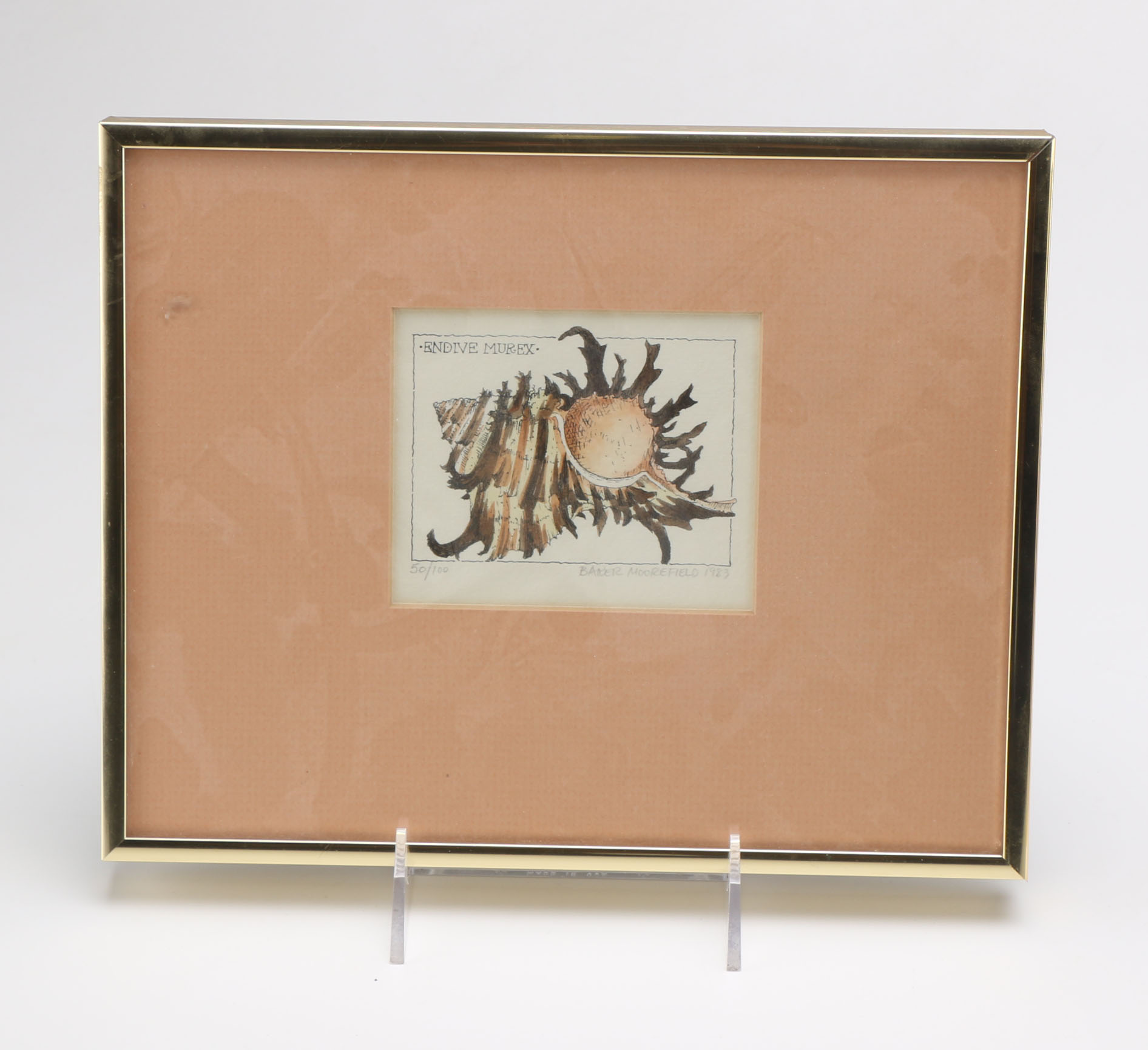 Baker Moorefield Signed Seashell Waterolors