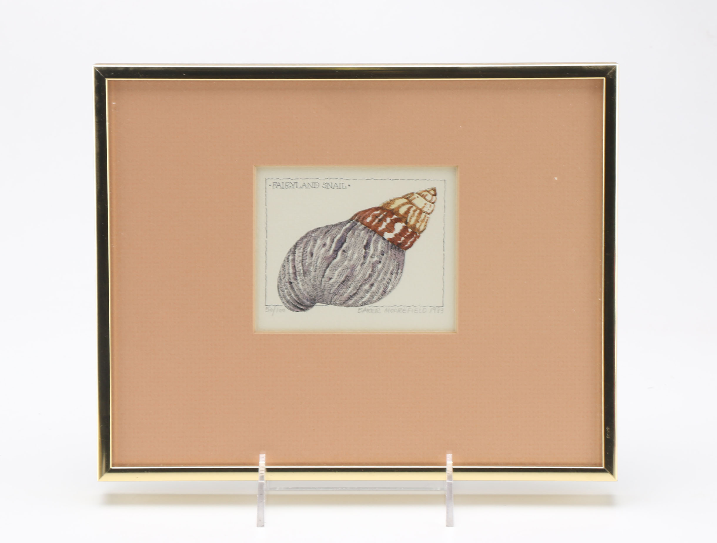 Baker Moorefield Signed Seashell Waterolors