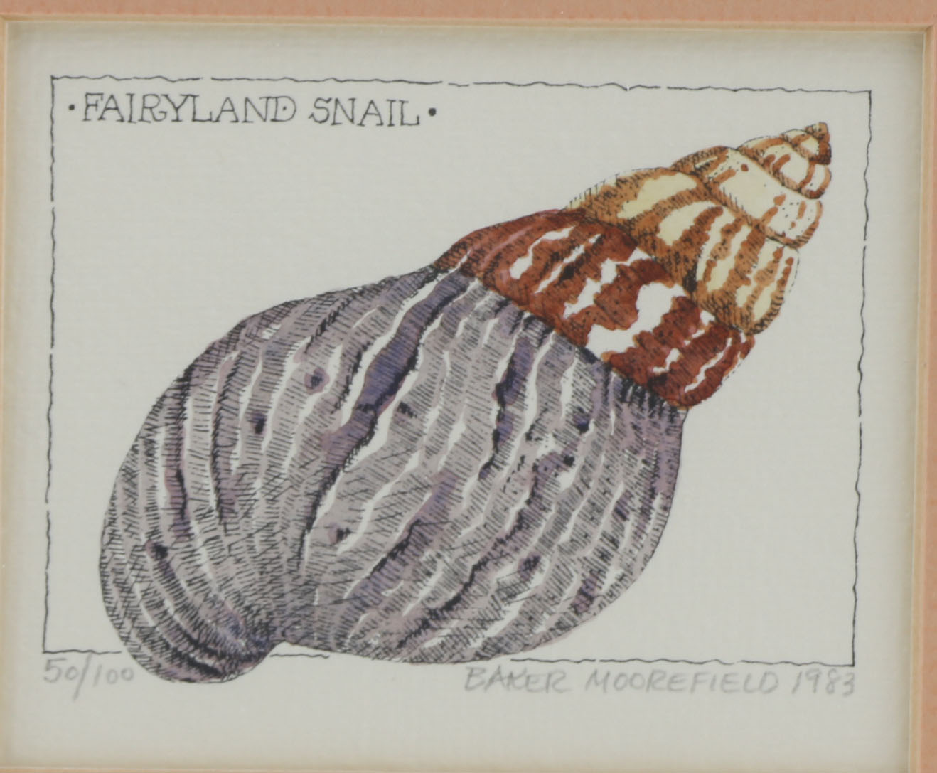 Baker Moorefield Signed Seashell Waterolors