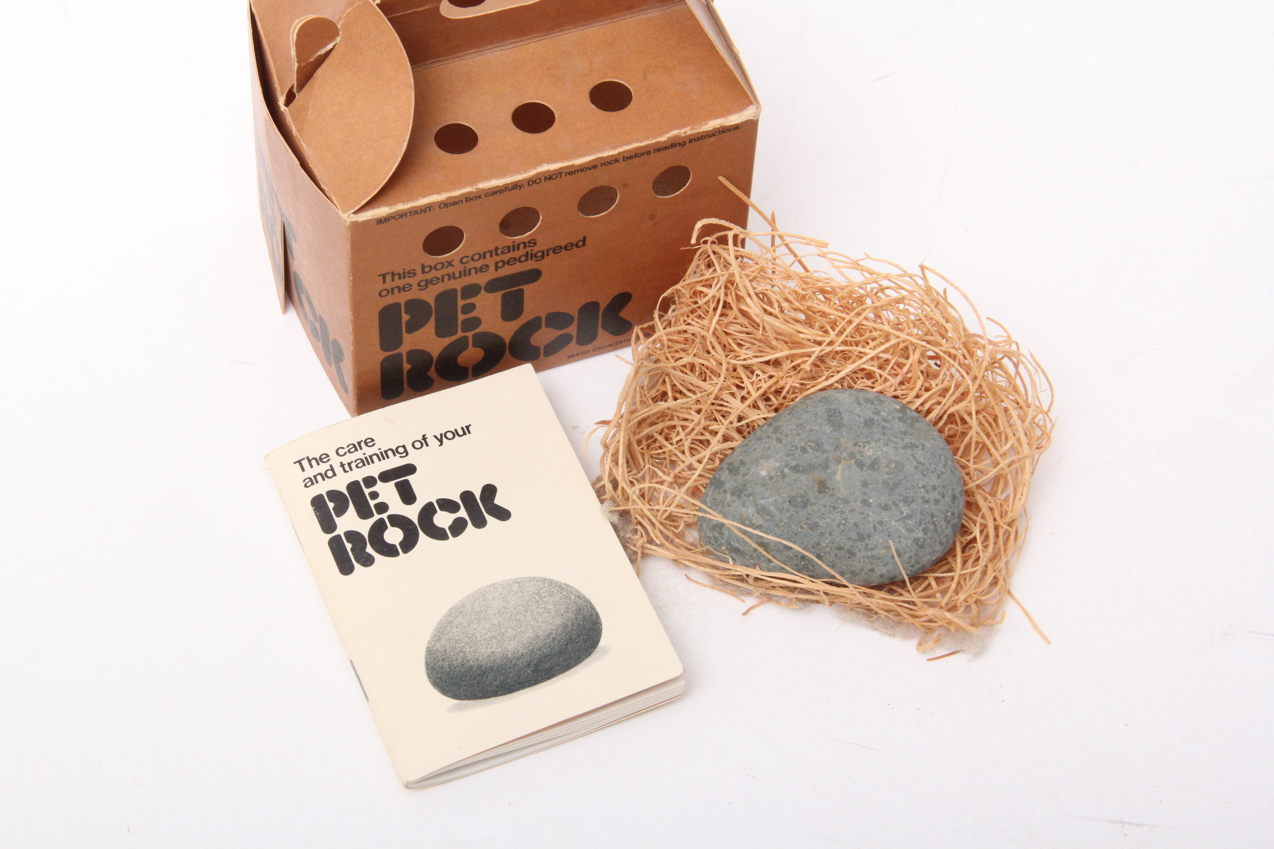 Vintage Pet Rock in Original Box