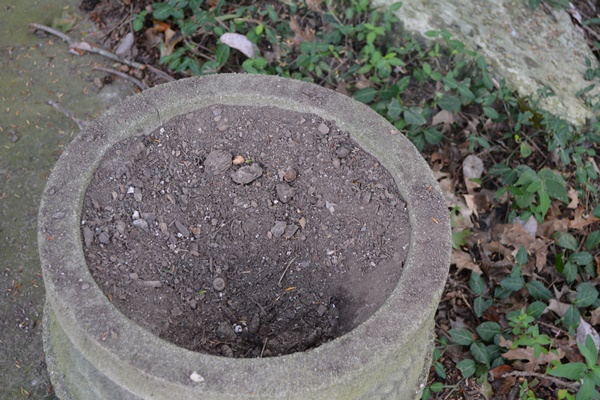 Concrete Planter and Pair of Concrete Spaniel Garden Statuary
