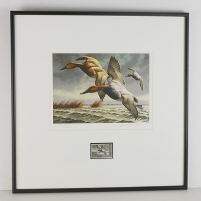 David Maass 1983 L/E Migratory Birds Canvasback Stamp and "King of Ducks" Offset Lithograph