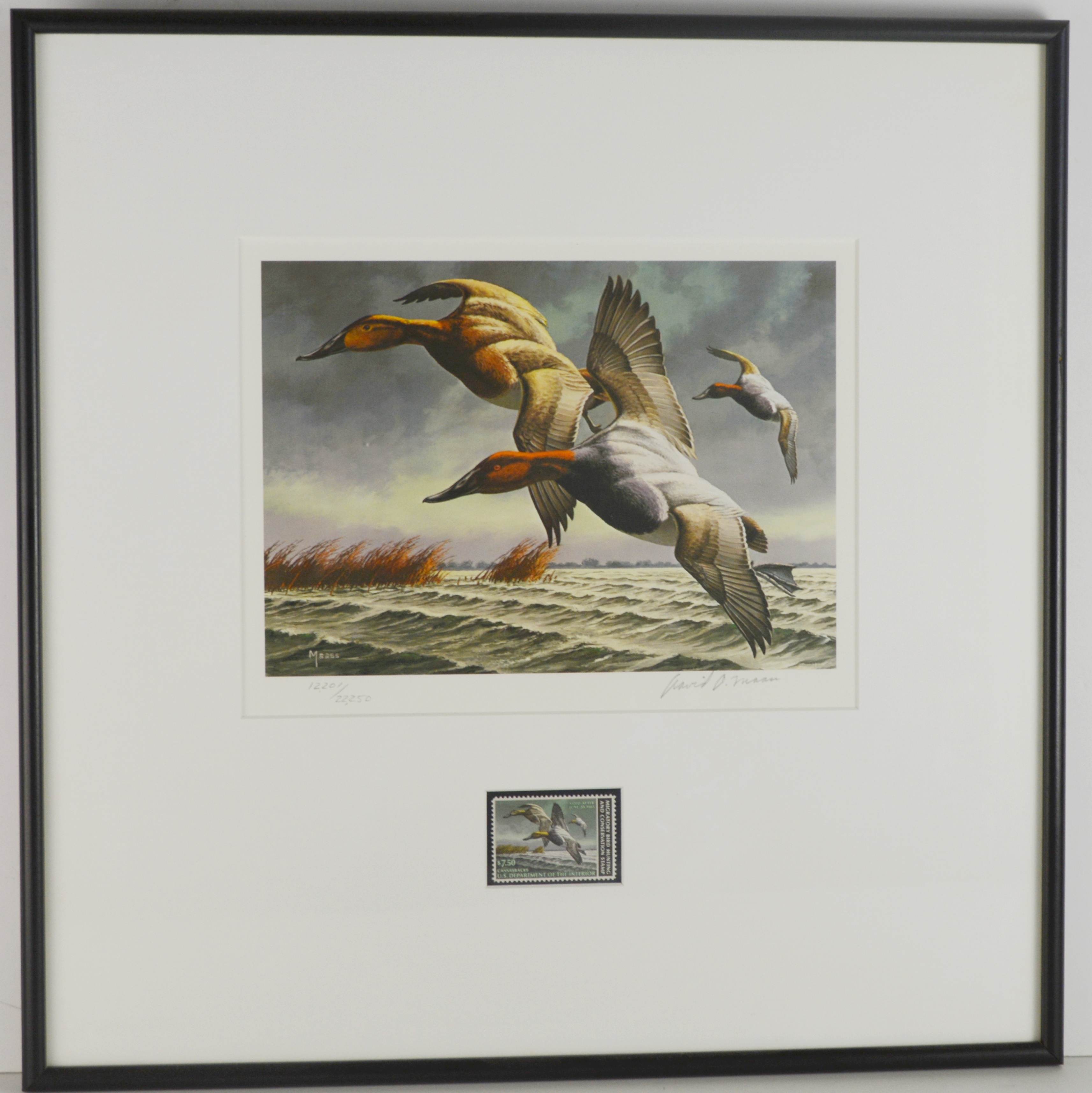 David Maass 1983 L/E Migratory Birds Canvasback Stamp and "King of Ducks" Offset Lithograph