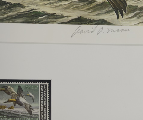 David Maass 1983 L/E Migratory Birds Canvasback Stamp and "King of Ducks" Offset Lithograph