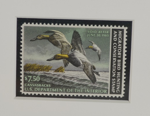 David Maass 1983 L/E Migratory Birds Canvasback Stamp and "King of Ducks" Offset Lithograph