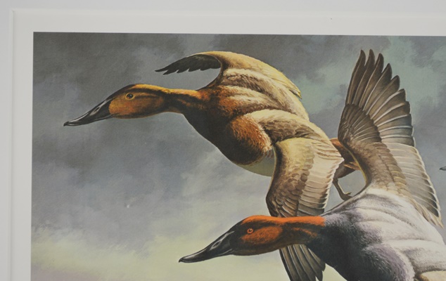 David Maass 1983 L/E Migratory Birds Canvasback Stamp and "King of Ducks" Offset Lithograph