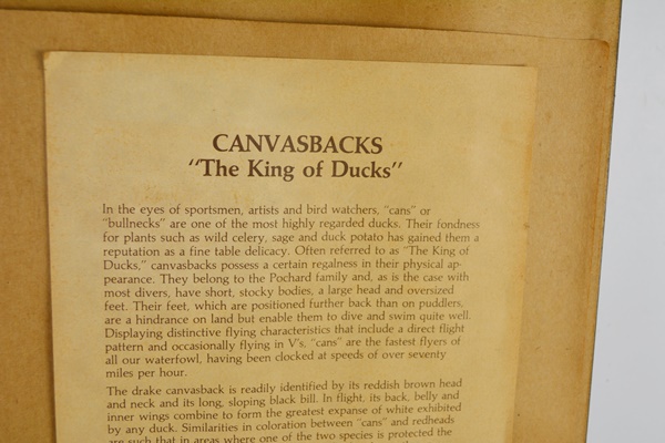 David Maass 1983 L/E Migratory Birds Canvasback Stamp and "King of Ducks" Offset Lithograph