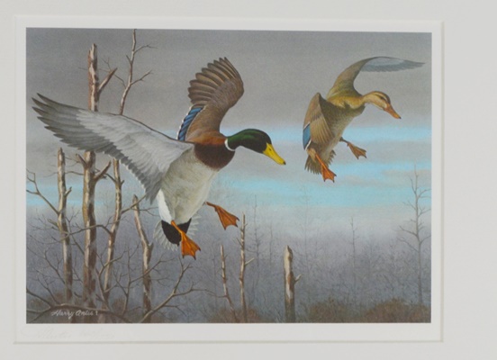 Harry Antis 1983 L/E Ohio Wetlands Habitat Mallard Stamp and Ohio Duck Stamp Offset Lithograph