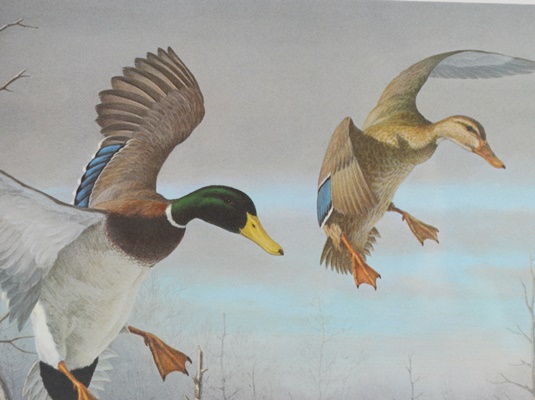 Harry Antis 1983 L/E Ohio Wetlands Habitat Mallard Stamp and Ohio Duck Stamp Offset Lithograph