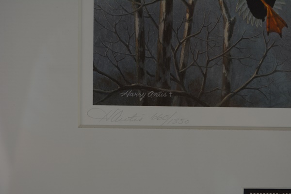 Harry Antis 1983 L/E Ohio Wetlands Habitat Mallard Stamp and Ohio Duck Stamp Offset Lithograph