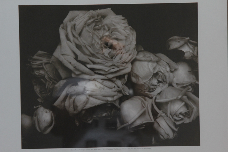 Collection of Art Posters