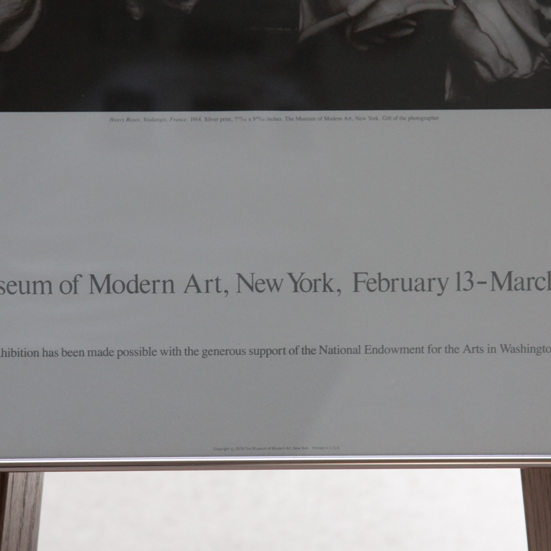 Collection of Art Posters