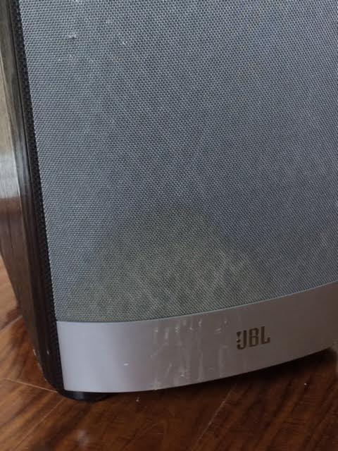 JBL Venue Floor Subwoofer