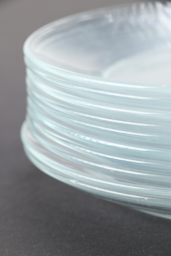 Arcoroc France Clear Glass Plates