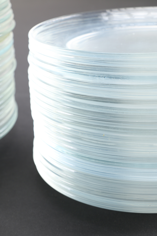 Arcoroc France Clear Glass Plates