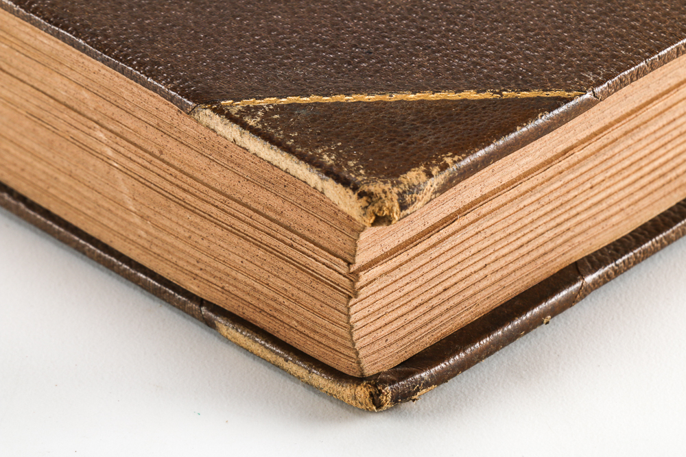 1875 First Edition of "Roderick Hudson" by Henry James