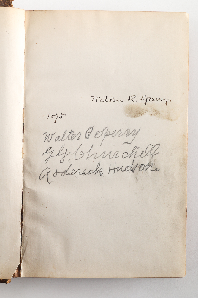 1875 First Edition of "Roderick Hudson" by Henry James