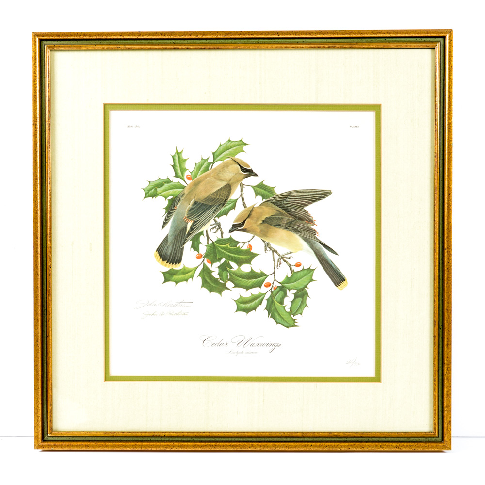 Signed Limited Edition John A. Ruthven Print Titled "Cedar Waxwings"