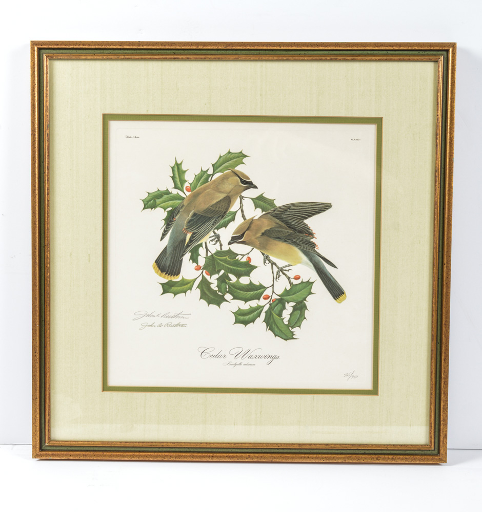 Signed Limited Edition John A. Ruthven Print Titled "Cedar Waxwings"