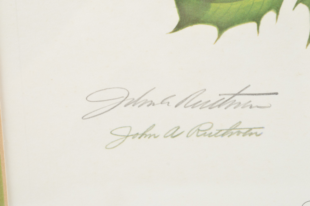 Signed Limited Edition John A. Ruthven Print Titled "Cedar Waxwings"