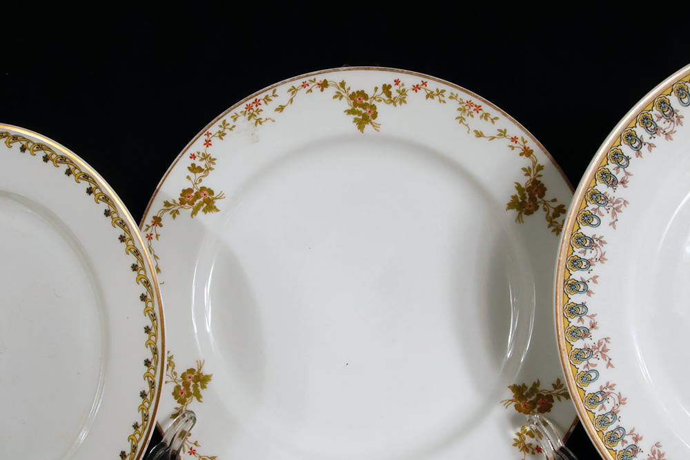 Haviland Mixed pattern Plate Collection