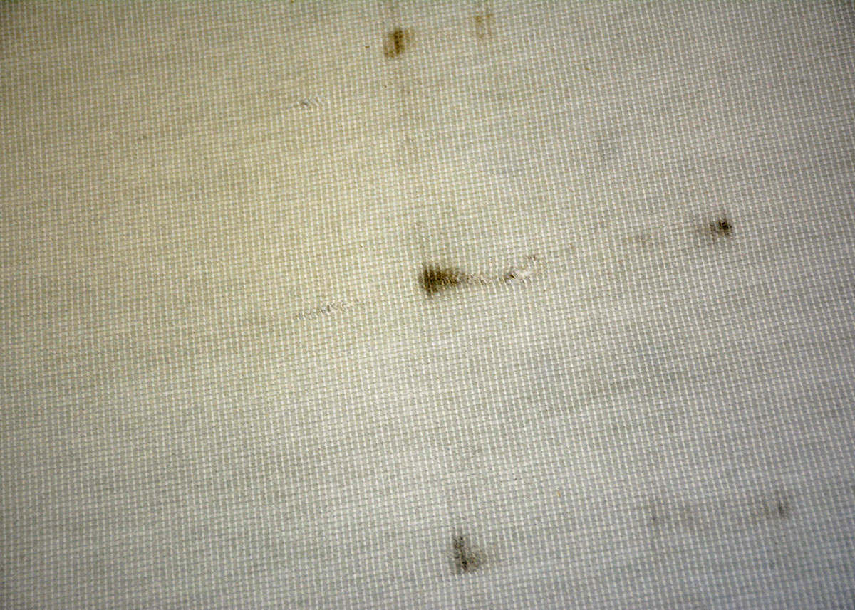 Select Comfort Adjustable Twin Bed