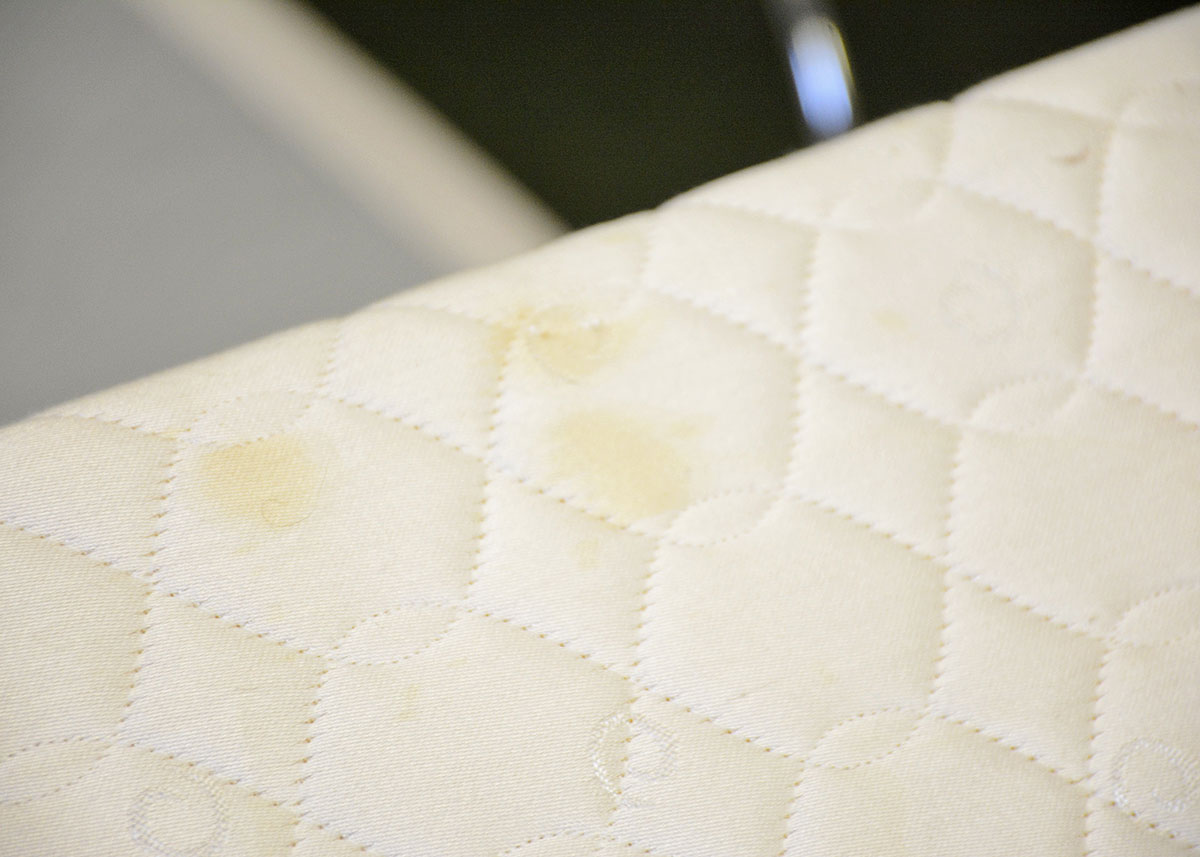 Select Comfort Adjustable Twin Bed