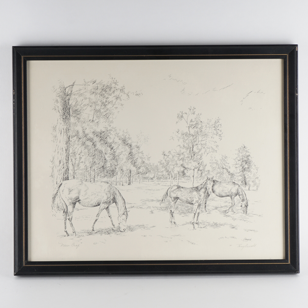 Four Framed Signed Equestrian Etchings by Tony Oswald