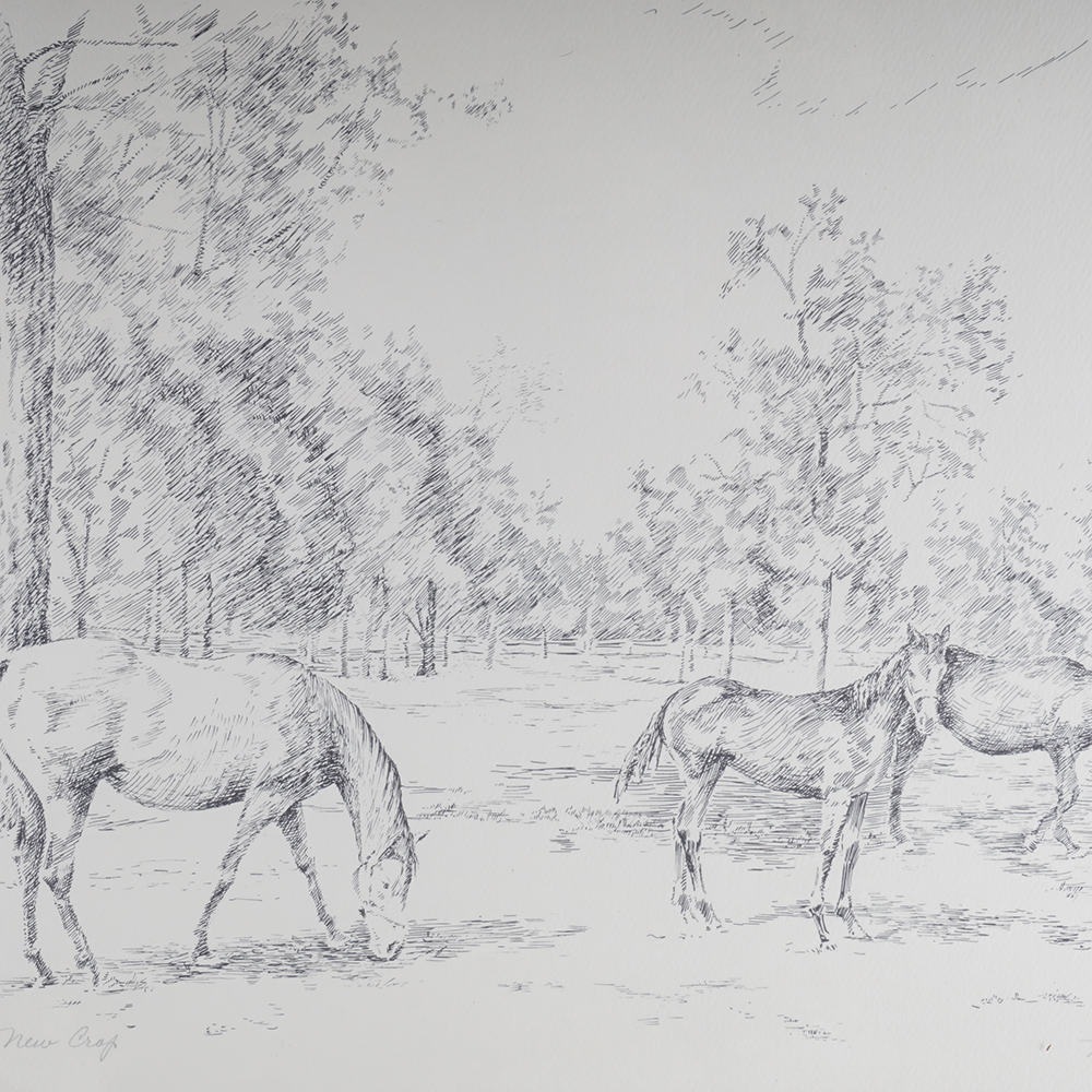 Four Framed Signed Equestrian Etchings by Tony Oswald