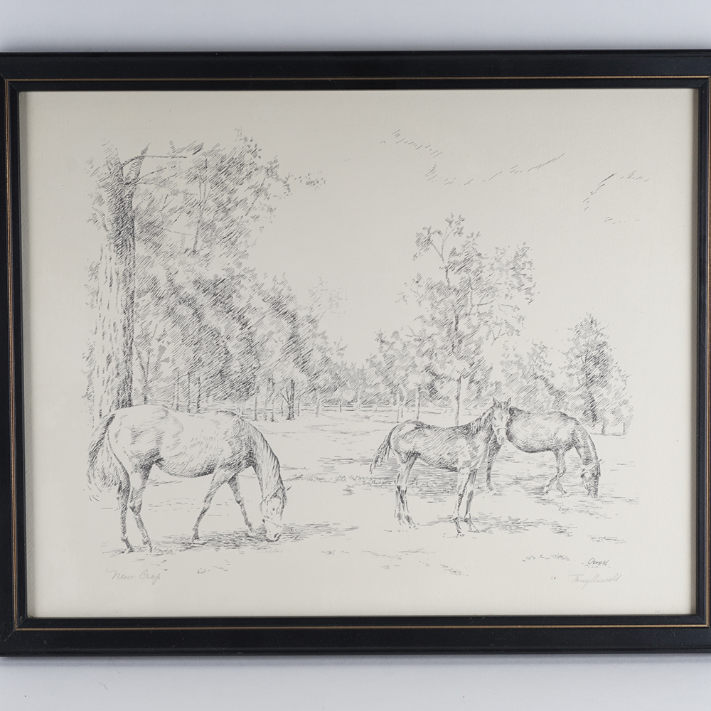 Four Framed Signed Equestrian Etchings by Tony Oswald