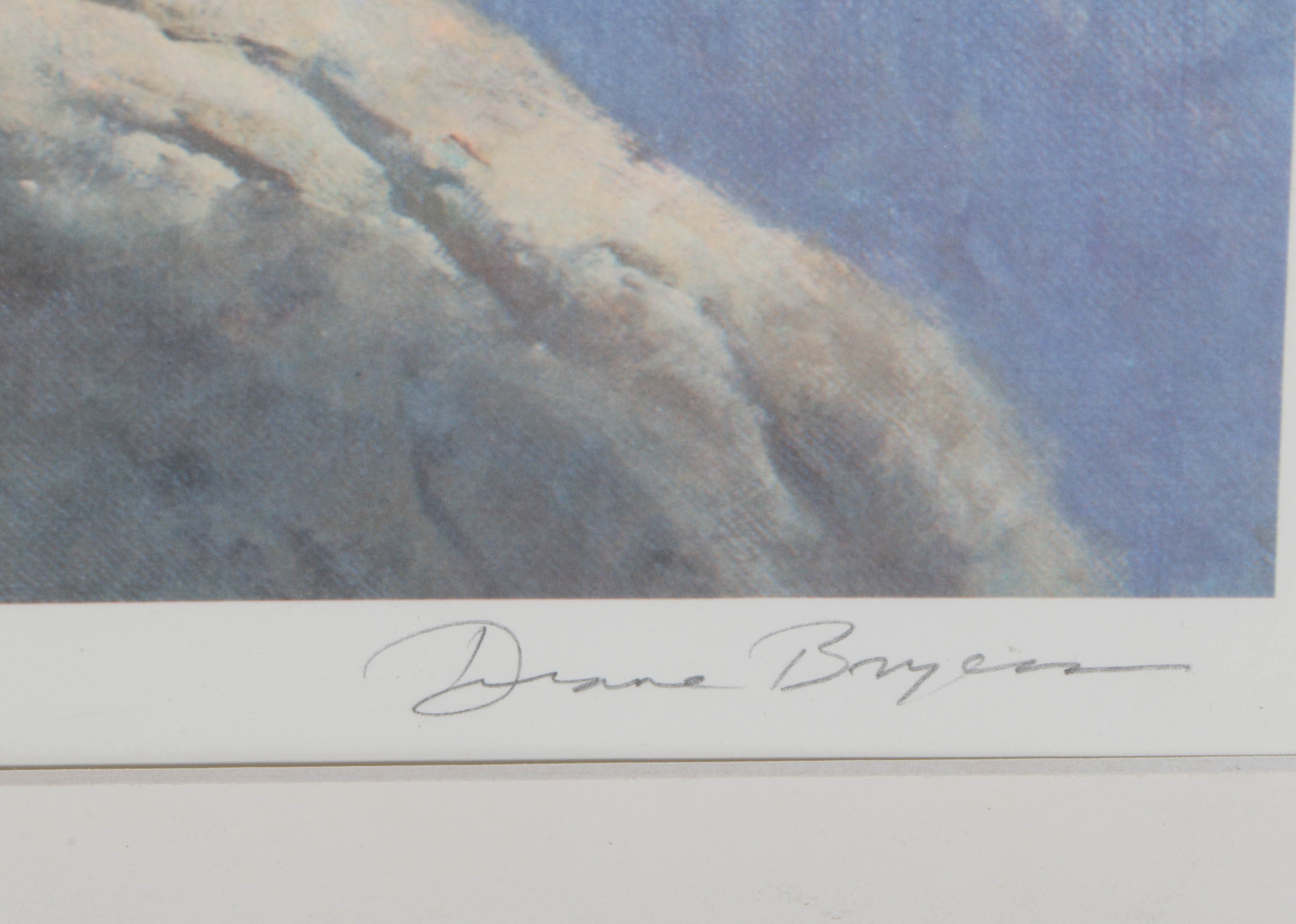 Duane Dryers Signed Artist Proof Lithograph "Vantage Point"