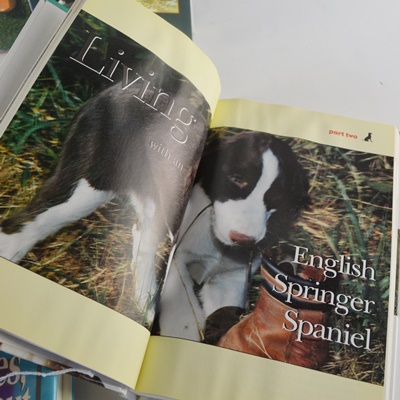 Hobby Books on Fishing, Golf, Guns and Dogs