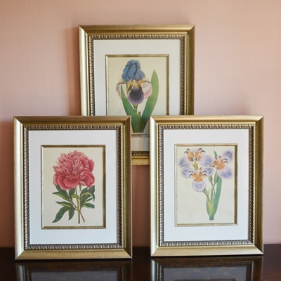 Three Botanical Offset Lithographs