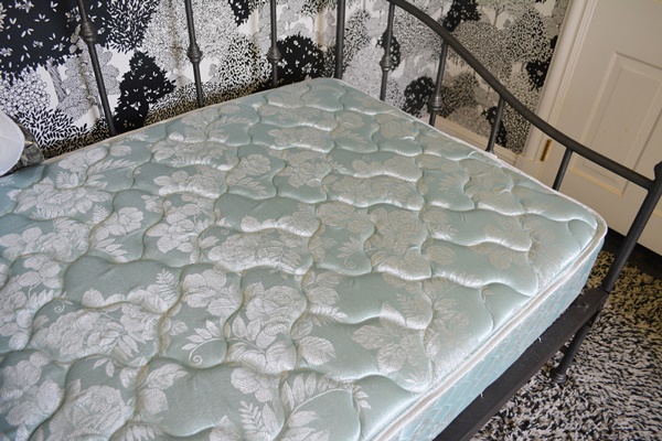 Black Metal Daybed, Mattress and Comforter