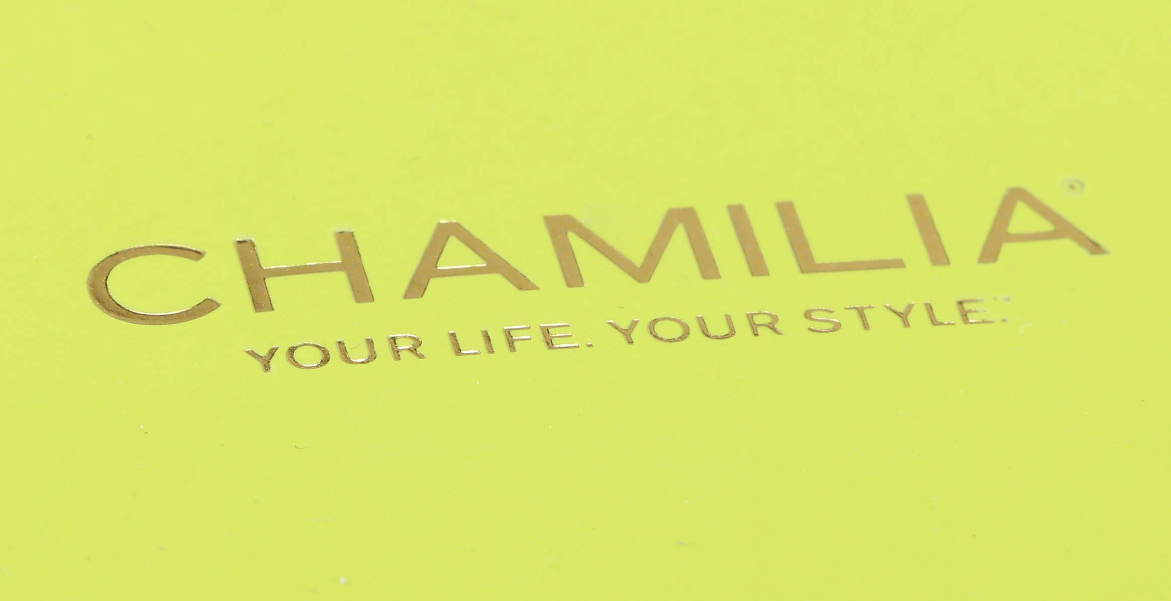 Chamilia Silver Tone Snap Charm Bracelet